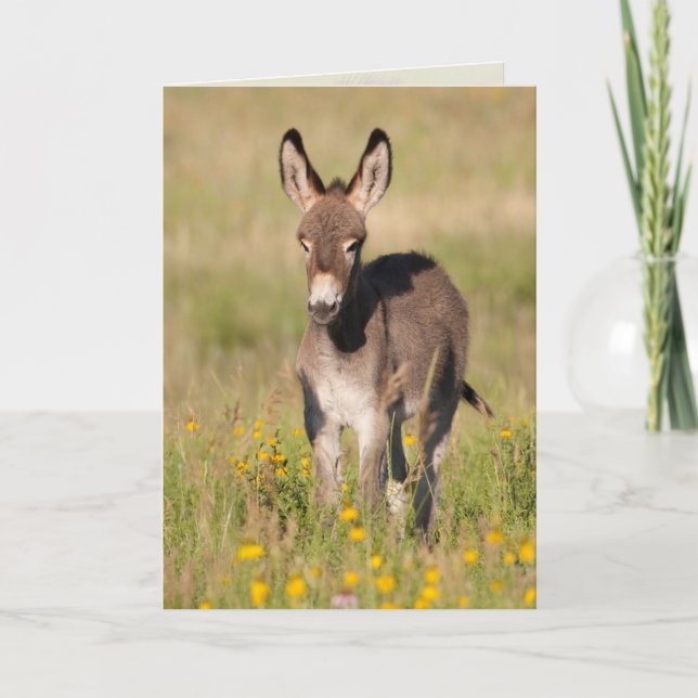 "Golden Meadows" - gratulationskort Kort (Framsida)