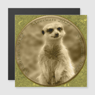 Golden Meerkat 2022 Coin, Magnetiskt kort