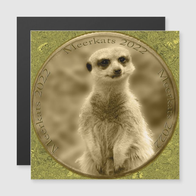Golden Meerkat 2022 Coin, Magnetiskt kort (Fram/baksida)