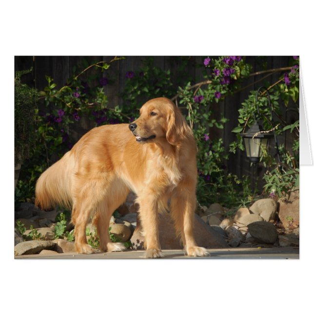 Golden Moment Hälsningskort (Framsidan Horizontal)