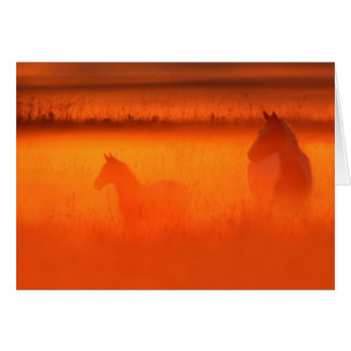 Golden Moment Hälsningskort