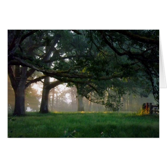 Golden Moment Hälsningskort (Framsidan Horizontal)