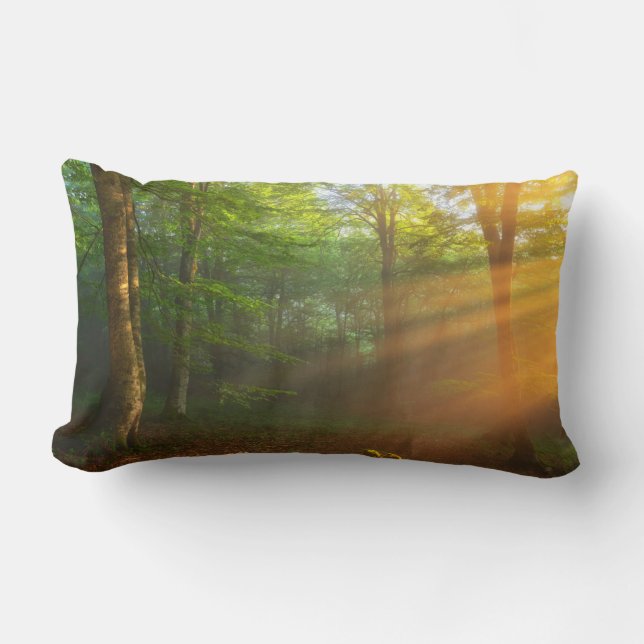 Golden Moment of Light Lumbarkudde (Framsida)