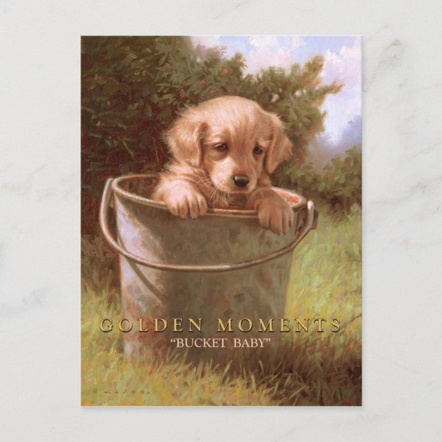 GOLDEN MOMENT VYKORT (Framsida)