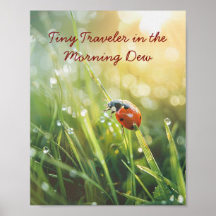 Golden Morgon Ladybug: Naturens Dew-Kissed Beauty Poster
