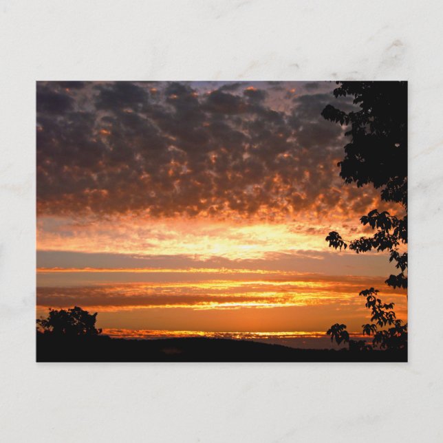 Golden Morgon Vykort (Framsida)