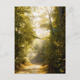 Golden Morning park, Original Fine Art Photograph Vykort