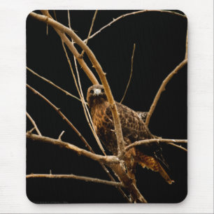 Golden Mousepad Musmatta