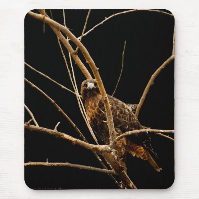 Golden Mousepad Musmatta (Framsidan)