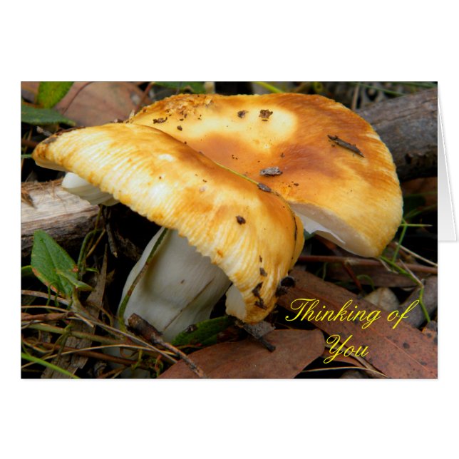 Golden Mushroom Hälsningskort (Framsidan Horizontal)