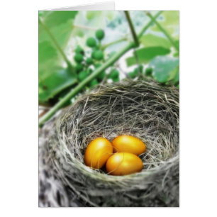 Golden Nest Eggs Hälsningskort