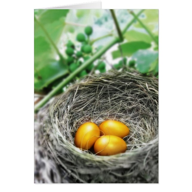 Golden Nest Eggs Hälsningskort (Framsidan)