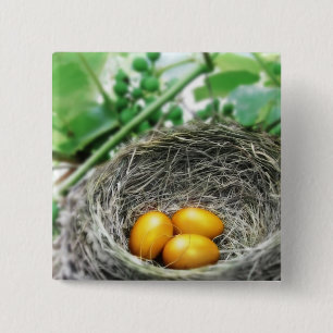 Golden Nest Eggs Knapp