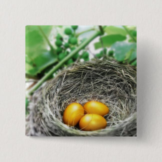 Golden Nest Eggs Knapp