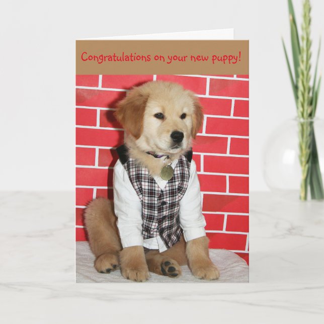 Golden New Puppy Kort (Framsida)