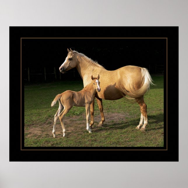 Golden Nugget Poster (Framsidan)