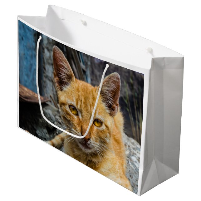 Golden Öga (Framsidan Vinklad)