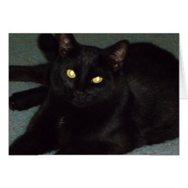 Golden öga hälsningskort