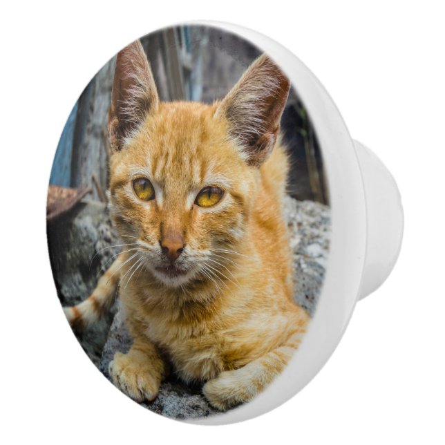 Golden Öga Knopp (Höger)