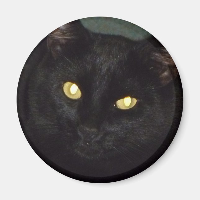 Golden öga magnet (Framsidan)