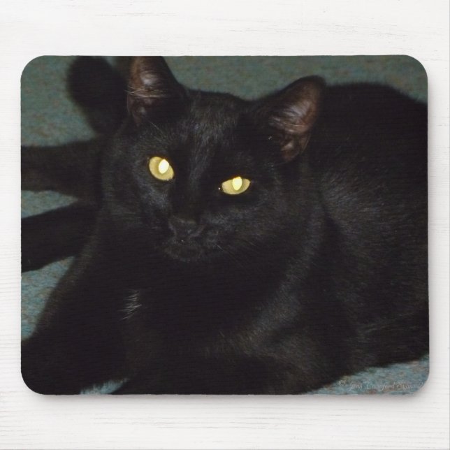 Golden öga musmatta (Framsidan)