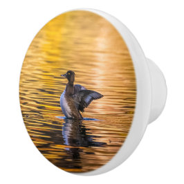 Golden öga på ett gyllene sjö knopp