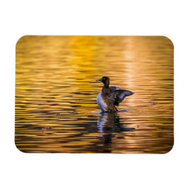 Golden öga på ett gyllene sjö magnet