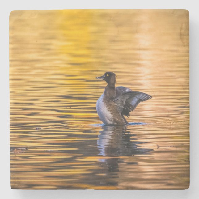 Golden öga på ett gyllene sjö stenunderlägg (Framsidan)