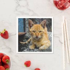 Golden Öga Pappersservett