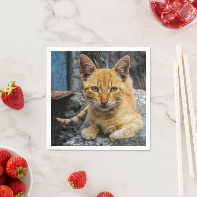 Golden Öga Pappersservett (Insitu)