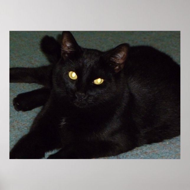 Golden öga poster (Framsidan)