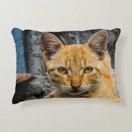 Golden Öga Prydnadskudde