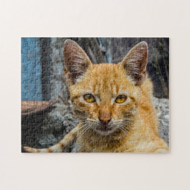 Golden Öga Pussel (Horisontell)