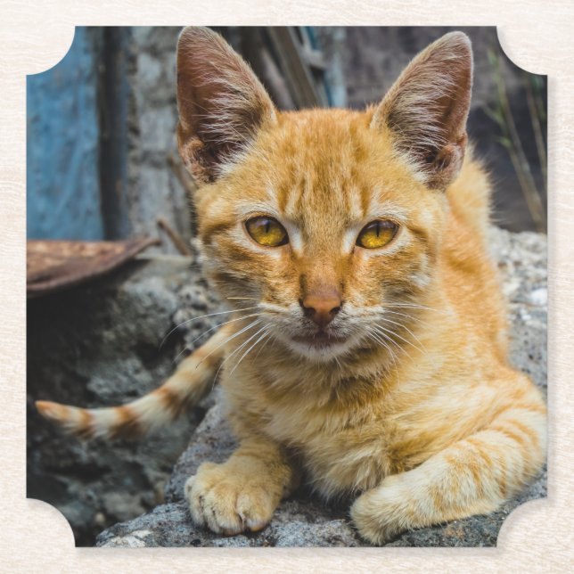 Golden Öga Underlägg Papper (Framsida)