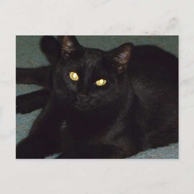 Golden öga vykort (Framsida)