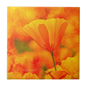 Golden Orange California Poppy "Land of Orange" Kakelplatta