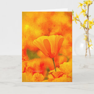 Golden Orange California Poppy "Land of Orange" Kort