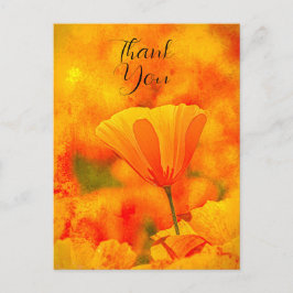 Golden Orange California Poppy "Land of Orange" Vykort