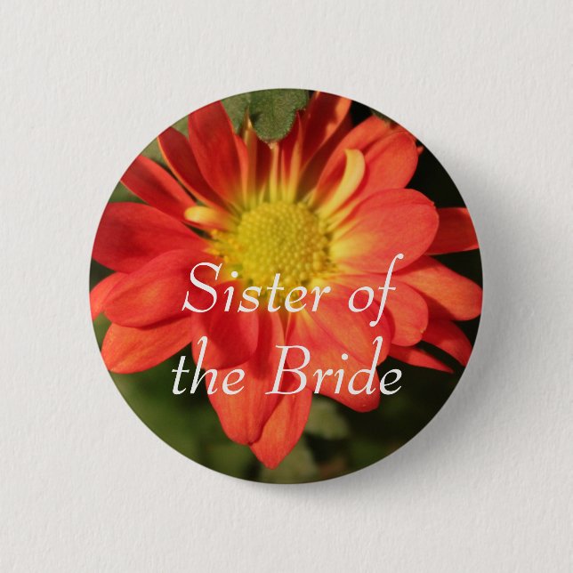 Golden, orange färg daisy blommor. knapp (Framsida)