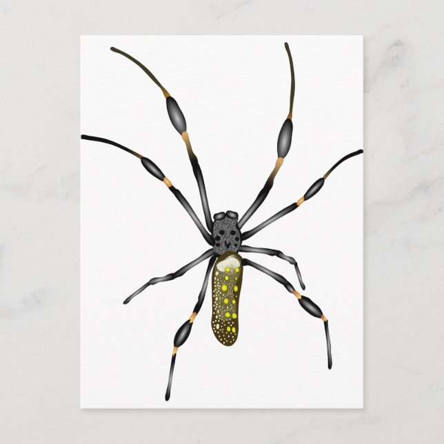 Golden Orb Spider Vykort (Framsida)