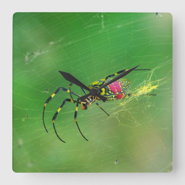 Golden Orb Weaver Spider Wall Clock Fyrkantig Klocka (Framsida)