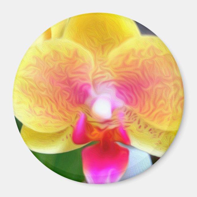 Golden Orchid by Power Flower Magnet (Framsidan)