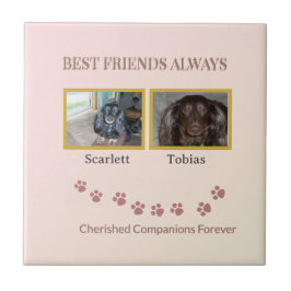 Golden Pawprints Cherished Companions Kakelplatta