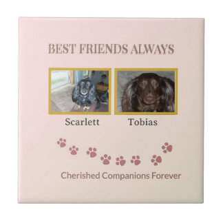 Golden Pawprints Cherished Companions Kakelplatta