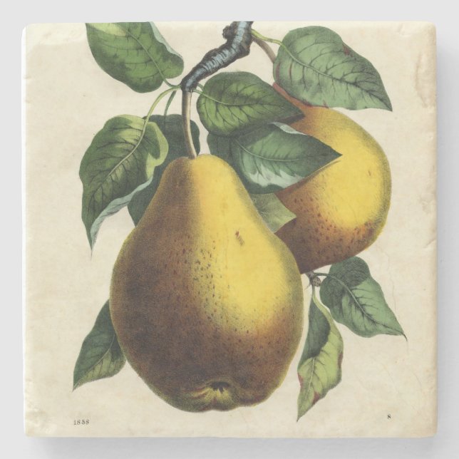 Golden Pears Square Underlägg Sten (Framsidan)