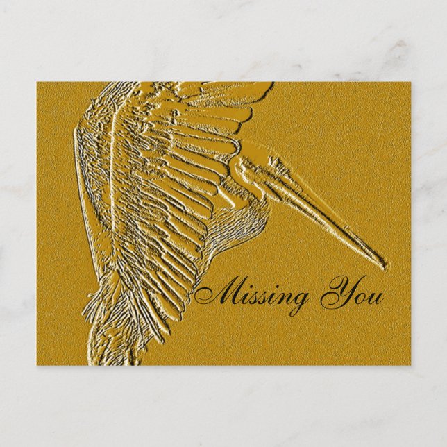 Golden Pelicans_ Vykort (Framsida)