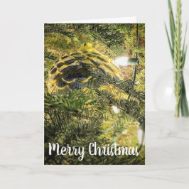 Golden Pinecone Helgkort