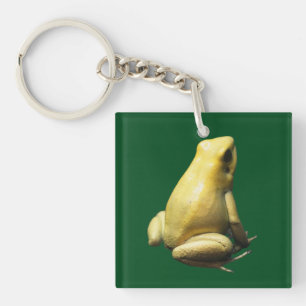 Golden Poison Frog