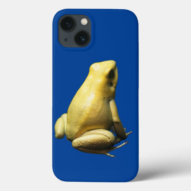 Golden Poison Frog (Baksida)
