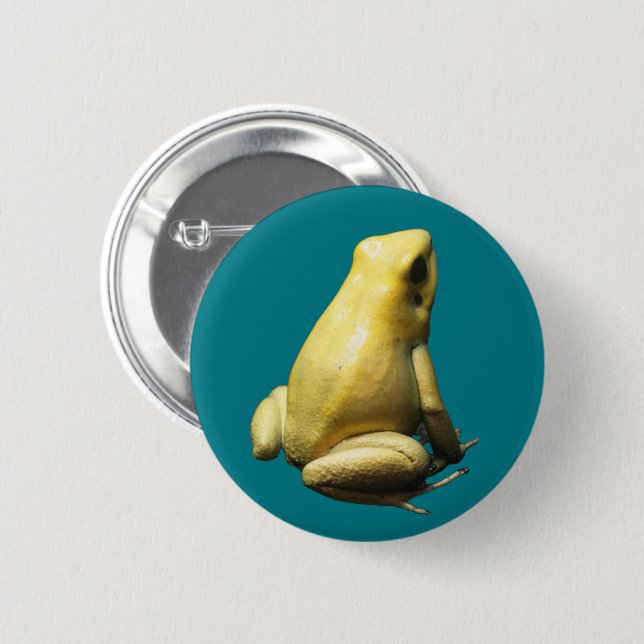 Golden Poison Frog Knapp (Framsida & baksida)